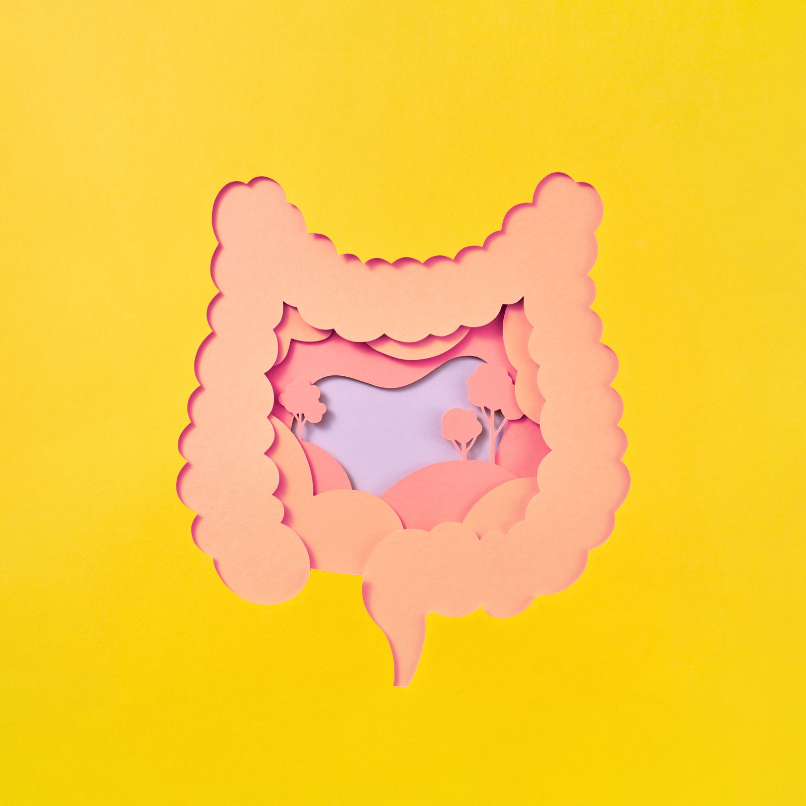 Here's How to Heal Your Gut After Taking Antibiotics